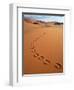 Footprints in sand-Frans Lemmens-Framed Photographic Print