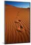 Footprints in the Desert Sand-MJO Photo-Mounted Photographic Print