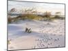 Footprints in the Sand at Sunset in the Dunes of Pensacola Beach, Florida.-forestpath-Mounted Premium Photographic Print