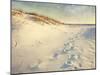 Footprints in the Sand Dunes Leading to the Ocean at Sunset. Soft Artistic Treatment with Canvas Te-forestpath-Mounted Photographic Print