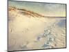 Footprints in the Sand Dunes Leading to the Ocean at Sunset. Soft Artistic Treatment with Canvas Te-forestpath-Mounted Photographic Print