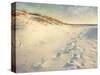 Footprints in the Sand Dunes Leading to the Ocean at Sunset. Soft Artistic Treatment with Canvas Te-forestpath-Stretched Canvas