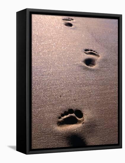 Footprints in the Sand of Eco Beach, South of Broome, Broome, Australia-Trevor Creighton-Framed Stretched Canvas