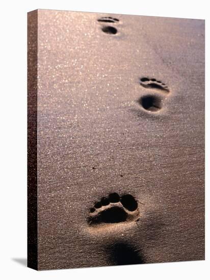 Footprints in the Sand of Eco Beach, South of Broome, Broome, Australia-Trevor Creighton-Stretched Canvas