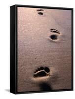 Footprints in the Sand of Eco Beach, South of Broome, Broome, Australia-Trevor Creighton-Framed Stretched Canvas