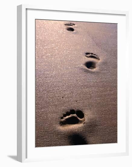 Footprints in the Sand of Eco Beach, South of Broome, Broome, Australia-Trevor Creighton-Framed Photographic Print