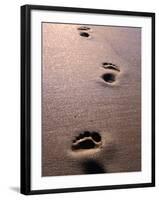 Footprints in the Sand of Eco Beach, South of Broome, Broome, Australia-Trevor Creighton-Framed Photographic Print