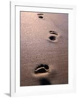 Footprints in the Sand of Eco Beach, South of Broome, Broome, Australia-Trevor Creighton-Framed Photographic Print