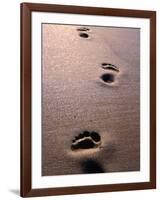 Footprints in the Sand of Eco Beach, South of Broome, Broome, Australia-Trevor Creighton-Framed Photographic Print