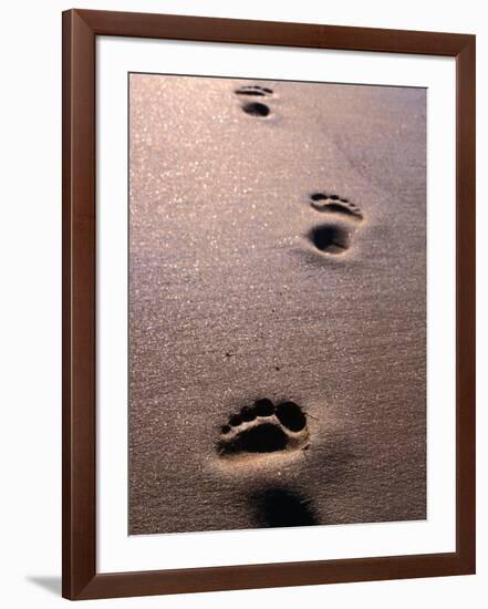 Footprints in the Sand of Eco Beach, South of Broome, Broome, Australia-Trevor Creighton-Framed Photographic Print