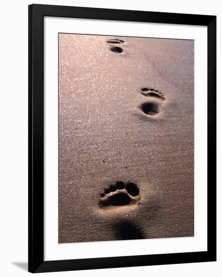 Footprints in the Sand of Eco Beach, South of Broome, Broome, Australia-Trevor Creighton-Framed Photographic Print