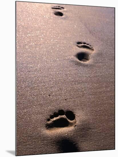 Footprints in the Sand of Eco Beach, South of Broome, Broome, Australia-Trevor Creighton-Mounted Photographic Print
