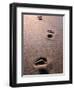 Footprints in the Sand of Eco Beach, South of Broome, Broome, Australia-Trevor Creighton-Framed Photographic Print