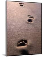 Footprints in the Sand of Eco Beach, South of Broome, Broome, Australia-Trevor Creighton-Mounted Photographic Print