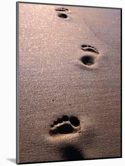 Footprints in the Sand of Eco Beach, South of Broome, Broome, Australia-Trevor Creighton-Mounted Photographic Print