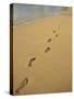 Footprints in the Sand on a Beach-Miller John-Stretched Canvas