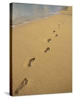 Footprints in the Sand on a Beach-Miller John-Stretched Canvas