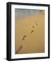 Footprints in the Sand on a Beach-Miller John-Framed Photographic Print