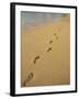 Footprints in the Sand on a Beach-Miller John-Framed Photographic Print