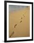 Footprints in the Sand on a Beach-Miller John-Framed Photographic Print