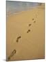 Footprints in the Sand on a Beach-Miller John-Mounted Photographic Print