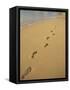 Footprints in the Sand on a Beach-Miller John-Framed Stretched Canvas