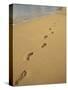 Footprints in the Sand on a Beach-Miller John-Stretched Canvas