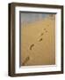 Footprints in the Sand on a Beach-Miller John-Framed Photographic Print