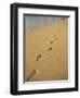 Footprints in the Sand on a Beach-Miller John-Framed Photographic Print