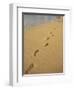 Footprints in the Sand on a Beach-Miller John-Framed Photographic Print