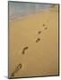 Footprints in the Sand on a Beach-Miller John-Mounted Photographic Print