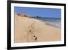 Footprints in the sand, Playa Papagayo beach, near Playa Blanca, Lanzarote, Canary Islands, Spain-Markus Lange-Framed Photographic Print