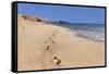 Footprints in the sand, Playa Papagayo beach, near Playa Blanca, Lanzarote, Canary Islands, Spain-Markus Lange-Framed Stretched Canvas