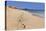 Footprints in the sand, Playa Papagayo beach, near Playa Blanca, Lanzarote, Canary Islands, Spain-Markus Lange-Stretched Canvas