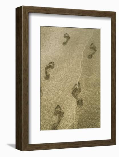 Footprints in the Sand, Puerta Vallarta, Mexico-Julien McRoberts-Framed Photographic Print