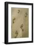 Footprints in the Sand, Puerta Vallarta, Mexico-Julien McRoberts-Framed Photographic Print