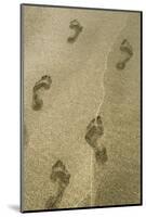 Footprints in the Sand, Puerta Vallarta, Mexico-Julien McRoberts-Mounted Photographic Print