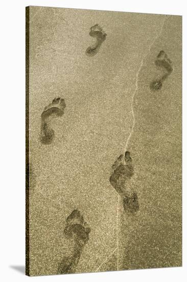 Footprints in the Sand, Puerta Vallarta, Mexico-Julien McRoberts-Stretched Canvas
