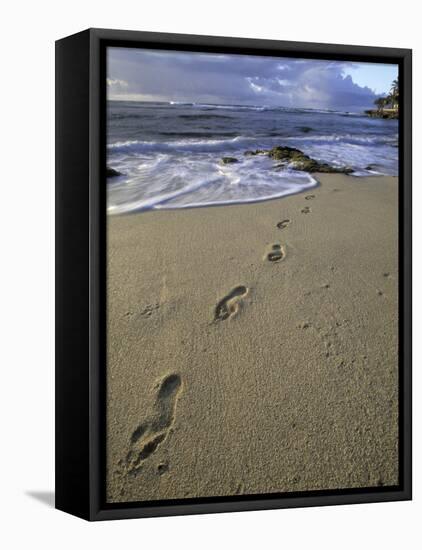 Footprints in the Sand, Turtle Bay Resort Beach, Northshore, Oahu, Hawaii, USA-Darrell Gulin-Framed Stretched Canvas