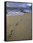 Footprints in the Sand, Turtle Bay Resort Beach, Northshore, Oahu, Hawaii, USA-Darrell Gulin-Framed Stretched Canvas