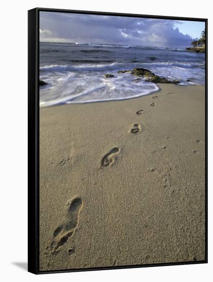 Footprints in the Sand, Turtle Bay Resort Beach, Northshore, Oahu, Hawaii, USA-Darrell Gulin-Framed Stretched Canvas