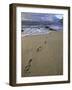 Footprints in the Sand, Turtle Bay Resort Beach, Northshore, Oahu, Hawaii, USA-Darrell Gulin-Framed Photographic Print