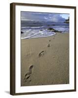 Footprints in the Sand, Turtle Bay Resort Beach, Northshore, Oahu, Hawaii, USA-Darrell Gulin-Framed Photographic Print