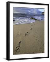 Footprints in the Sand, Turtle Bay Resort Beach, Northshore, Oahu, Hawaii, USA-Darrell Gulin-Framed Photographic Print