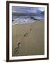 Footprints in the Sand, Turtle Bay Resort Beach, Northshore, Oahu, Hawaii, USA-Darrell Gulin-Framed Photographic Print