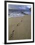 Footprints in the Sand, Turtle Bay Resort Beach, Northshore, Oahu, Hawaii, USA-Darrell Gulin-Framed Photographic Print