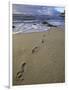 Footprints in the Sand, Turtle Bay Resort Beach, Northshore, Oahu, Hawaii, USA-Darrell Gulin-Framed Photographic Print