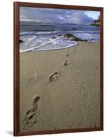 Footprints in the Sand, Turtle Bay Resort Beach, Northshore, Oahu, Hawaii, USA-Darrell Gulin-Framed Photographic Print