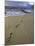 Footprints in the Sand, Turtle Bay Resort Beach, Northshore, Oahu, Hawaii, USA-Darrell Gulin-Mounted Photographic Print