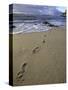 Footprints in the Sand, Turtle Bay Resort Beach, Northshore, Oahu, Hawaii, USA-Darrell Gulin-Stretched Canvas